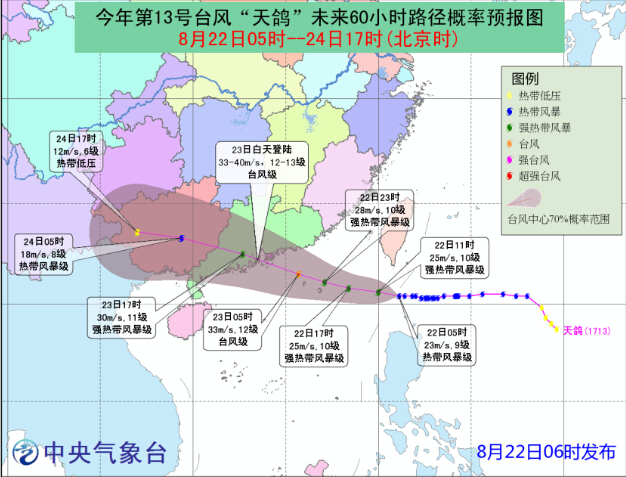 天天鸽台风最新消息,天天鸽台风最新消息，动态分析与应对策略