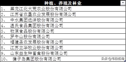 新澳门免费全年资料查询｜深度解答解释定义