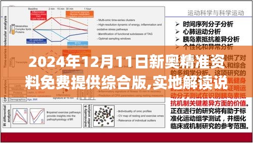 2024新奥精准资料免费大全078期,灵活解析实施_Holo40.151