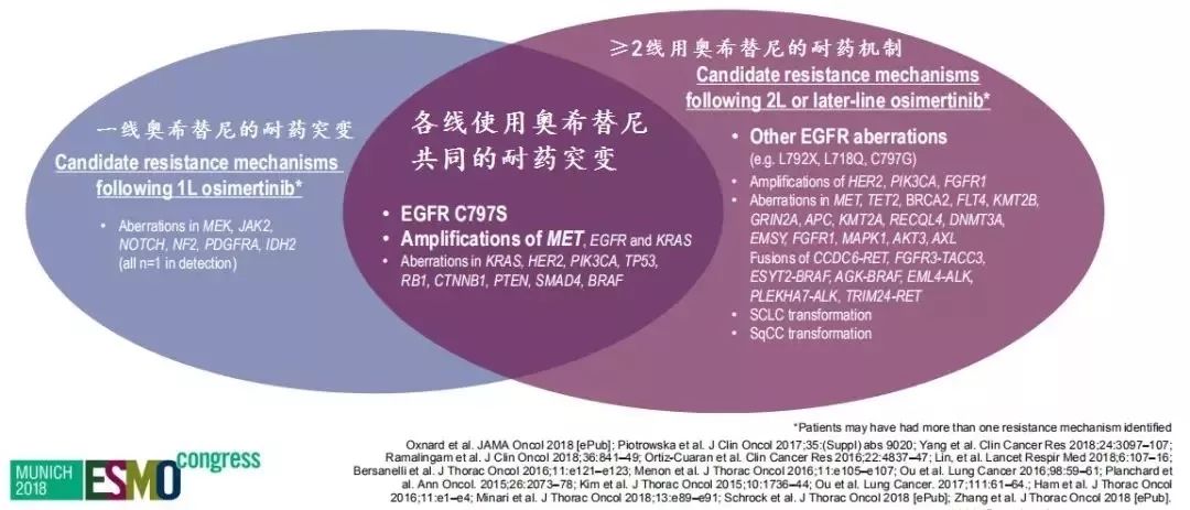 2024新奥最新资料,快速设计问题策略_精英款65.277