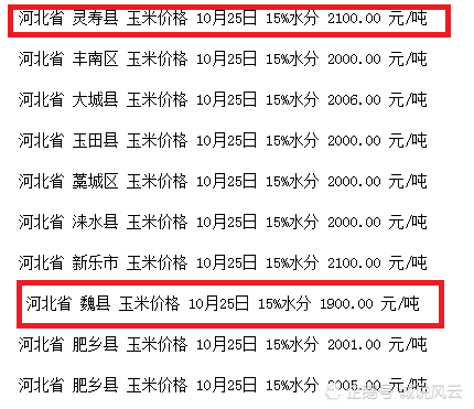 河北玉米价格动态更新与分析