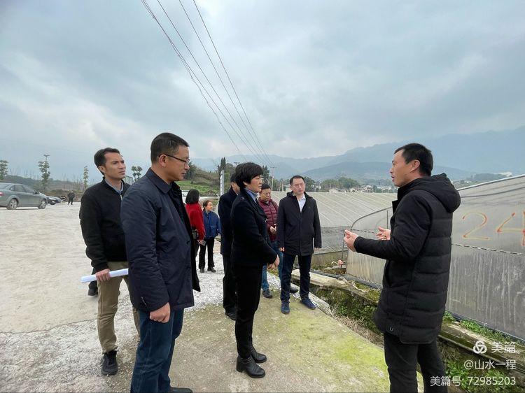 蔡家规划最新动态，引领未来城市发展的蓝图揭秘